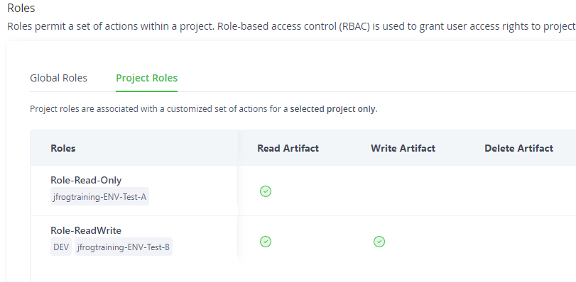 Attach Project Environment To Role