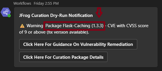 Vulnerability Name Version